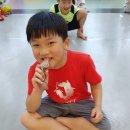 용인대 영광태권도 이미지