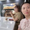 까마종 이미지