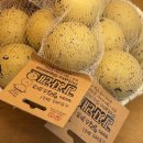 부영한의원 | 일주일에 한 달씩 시차 맞추는 초보 블로거의 여름 강릉 여행