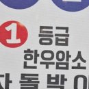 여수고기