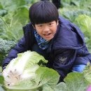 회천서초교 이미지