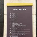 올리브영대전정부 | 가성비 넘치는 대전숙소 호텔선샤인 내돈내산 후기