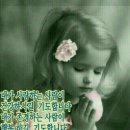 행복짓기 Daum카페