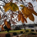 살신성인 탑 이미지