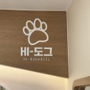 하이도그 이미지