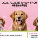 댕댕하개