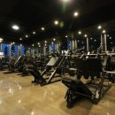 스타휘트니스 이미지