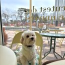 큣페이스 이미지