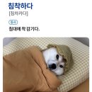 스터디모드