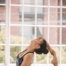 아쉬탕가 빈야사 요가 B 이미지