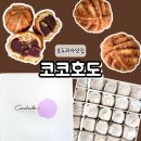 코코호도첨단점 | [내돈]코코호도 호두과자 간식 답례품으로 추천 리뷰