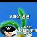 주역대전 : 序卦傳 上_22-27/27장 이미지