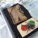 오세창농장 이미지