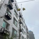 벌목 이미지