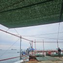 주식회사 동안판매 | 부산 아이랑 가볼만한곳 태종대 유람선 여행특공대 할인 예약 후기