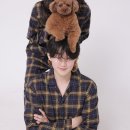 마마스미독펜트하우스 광주애견유치원&애견호텔 본점 이미지