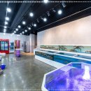 선수수산 이미지