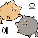 삼성동물종합병원 이미지
