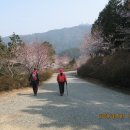 자은임도 이미지