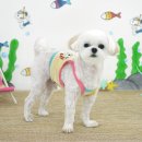 스누피 애견 이미지