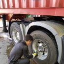 안골세차장 이미지