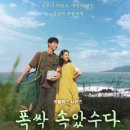 폭싹 속았수다 8화 줄거리: 금명의 대리시험 누명, 그리고 일본 유학