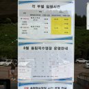 올림픽기념관 수영장 | 아쉬웠던 50m레인 보유 안산올림픽기념관수영장 토요일 자유수영 후기