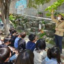 모동초등학교 4월27일(목) 15명 이미지