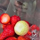 김태연농장 이미지