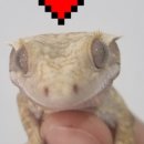 (주)크레노바 이미지