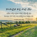 오서2천 Daum카페