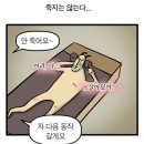 shut up and squat 이미지