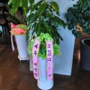 (주)티에이블 네이버블로그