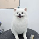 붕가붕가샵 이미지