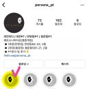 페르소나 피티 이미지