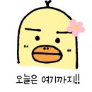 대운아로마 이미지