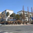 매화마을사거리.주택단지 이미지