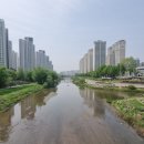 에이스렌트공인중개사사무소 이미지