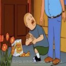 드로아