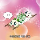 나포중학교 | 2024년 화훼장식기사 실기 합격후기 (인천 소방고&amp;시흥중)