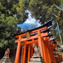 신성교통(주) | 일본 교토 후시미 이나리 신사 교토에서 가는법 입장료 먹거리 기념품 후기