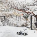 라라논골 이미지