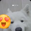 겨울나는나비 동물병원 이미지