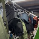 개운세탁소 이미지