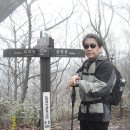내장산국립공원 백암산 이미지