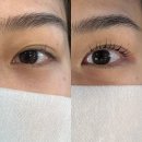 대구 달서 속눈썹펌:: 공드린뷰티ㅣ친절하고 꼼꼼한 눈매 체크 속눈썹펌맛집 추천