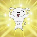 명동다실 네이버블로그