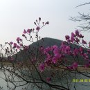 미평수원지