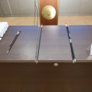 내가 쏜 닭 이미지