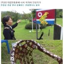 대전 국립현충원에 北인공기, 나치(Nazi) 문양 의자 출현! 이미지